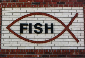 FISH in bricks